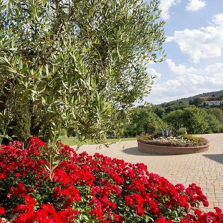 Poggio Pellicciaia Villa Arezzo Kültér fotó