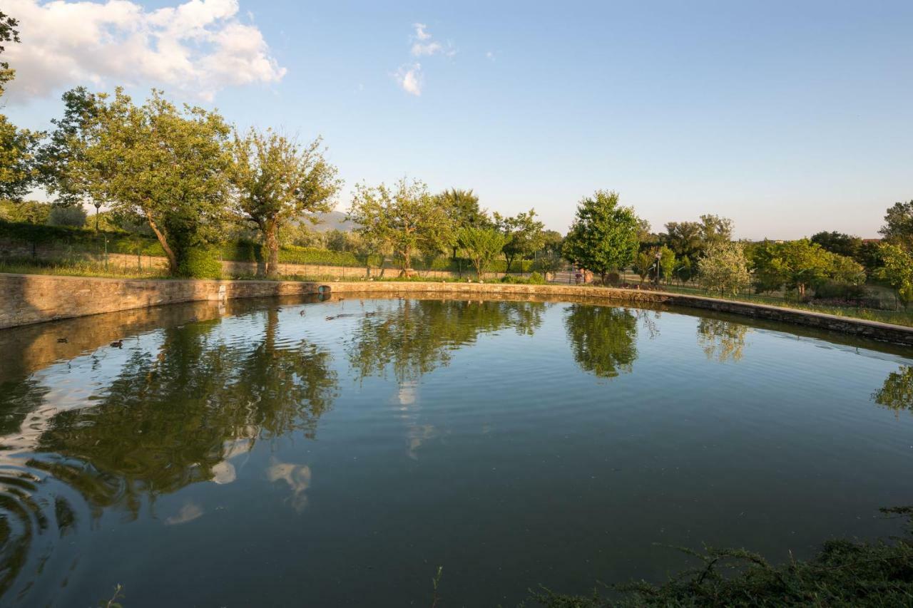 Poggio Pellicciaia Villa Arezzo Kültér fotó